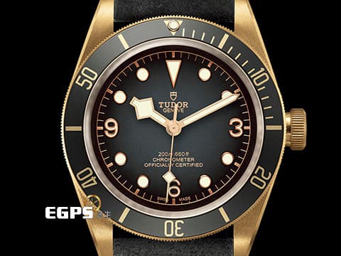 TUDOR 帝舵 Black Bay Bronze 碧灣 79250BA 青銅錶 79250 石板灰色面盤  復古 雪花針 2024年保單 自動上鍊 43mm