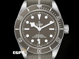 TUDOR 帝舵 Black Bay 58 碧灣 Fifty-Eight 79010SG 水鬼 <font color="#cad6ef">925銀材質 BB58</font>&nbsp;<font color="#05f0f0">【銀價漲翻天~超級CP值】</font><span style="font-size: 10pt;">雪花針 79010 SG </span><font color="#FF0000" style="font-size: 10pt;">MT5400自製機芯 2026年保卡&nbsp;</font><span style="font-size: 10pt;">潛水錶 自動上鍊 39mm</span>