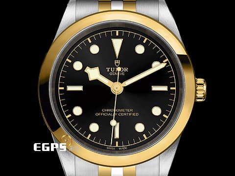 TUDOR 帝舵 BLACK BAY 41  M79683-0001 18K黃金材質 半金款 金色錶圈搭配黑色面盤 五珠鏈帶 可快調式錶扣&nbsp;2025年保卡&nbsp;自動上鍊 41mm