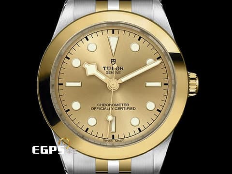 TUDOR 帝舵 Black Bay 39 S&amp;G 79663 碧灣 皇帝金 金色面盤 復古 雪花指針 18K黃金 半金款 自製MT5602機芯搭配快速調節「T-fit」折疊扣 2025年保卡&nbsp;潛水錶 自動上鍊 39mm