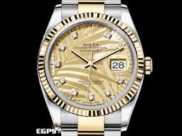 ROLEX 勞力士 蠔式 Datejust 126233 <font color=#FFD700>2024停產款 鑲鑽時標 黃金棕梠葉面盤</font> 18K黃金 半金款 DJ36 經典三角坑紋錶圈 <font color=#FF0000>新式綠卡，3235機芯，2024年保單 </font> 36mm