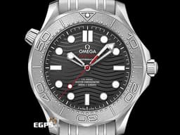 OMEGA 歐米茄 Seamaster 300 海馬 300米 <font color=#FFFF00>不鏽鋼錶圈 黑色面盤 特殊紅針 </font> 21030422001002 同軸擒縱 排氦氣閥 <font color=#FF0000> 2023保單 Nekton特別版 底蓋鐫刻波浪紋與Nekton潛艇 </font> 潛水錶 自動上鏈 42mm