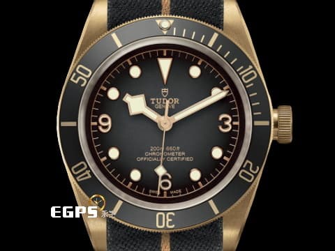 TUDOR 帝舵 Black Bay Bronze 碧灣 79250BA 青銅材質 石板灰色面盤  復古 雪花針 2025年保單 自動上鍊 43mm