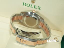 ROLEX 勞力士 Datejust 41 蠔式日誌型 126301 玫瑰金半金款 <font color=#FF0000>2022年保單新式保卡 </font> <font color=#d2691e>巧克力色面盤 </font> <font color=#FFFF33>蠔式大板鏈節錶帶款</font> 自動上鏈 41mm