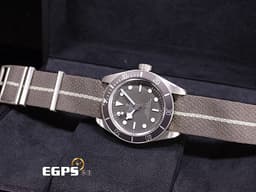 TUDOR 帝舵 Black Bay 58 碧灣 Fifty-Eight 79010SG 水鬼 <font color="#cad6ef">925銀材質 BB58</font>&nbsp;<font color="#05f0f0">【銀價漲翻天~超級CP值】</font><span style="font-size: 10pt;">雪花針 79010 SG </span><font color="#FF0000" style="font-size: 10pt;">MT5400自製機芯 2026年保卡&nbsp;</font><span style="font-size: 10pt;">潛水錶 自動上鍊 39mm</span>