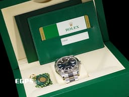 ROLEX 勞力士 Datejust II 經典 蠔式日誌型 116334 <font color="#0066FF">藍色面盤 柱狀夜光時標</font> DJ41 不鏽鋼材質 18K白金三角坑紋錶圈 自動上鍊 41mm