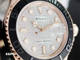 ROLEX 勞力士 Yacht-Master 40 蠔式 遊艇名仕型 126655 Pave <font color="#cadff0">原廠鑲鑽 滿天星面盤</font> 永恆玫瑰金 刻度陶瓷錶圈 <font color="#FF0000">2023年保單 新款3235機芯 Glidelock快調延展錶扣</font> 自動上鍊 40mm