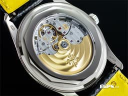 Patek Philippe 百達翡麗 PP錶 Calatrava系列 6007G-001 <font color="#9c9893">烏木黑色中央「碳纖維」浮雕圖案面盤</font>&nbsp;大三針 <font color="#FFD700">黃色秒針、三角形刻度</font> 18K白金材質 <font color="#FF0000">2026年保單</font> 自動上鍊 40mm