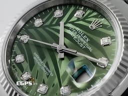ROLEX 勞力士 Datejust 36 蠔式日誌型 126234 <font color="#05f0f0">停產絕版款式&nbsp;原廠鑽石時標</font><font color="#009100"> 橄欖綠色棕櫚葉面盤</font> DJ36 經典三角坑紋錶圈 <font color="#FF0000">2023年 紀念型（Jubilee）五銖錶帶</font> 自動上鍊 36mm