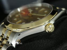 TUDOR 帝舵 Black Bay 39 S&amp;G 79663 碧灣 <font color="#FFD700">皇帝金 金色面盤</font> 復古 雪花指針 18K黃金 半金款 <font color="#FF0000">自製MT5602機芯搭配快速調節「T-fit」折疊扣 2025年保卡&nbsp;</font>潛水錶 自動上鍊 39mm
