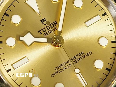 TUDOR 帝舵 Black Bay 39 S&amp;G 79663 碧灣 皇帝金 金色面盤 復古 雪花指針 18K黃金 半金款 自製MT5602機芯搭配快速調節「T-fit」折疊扣 2025年保卡&nbsp;潛水錶 自動上鍊 39mm