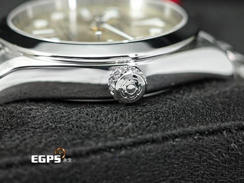 TUDOR 帝舵 Black Bay 36 碧灣 79640-0003&nbsp;香檳色面盤 雪花針 不鏽鋼 最新款五節錶帶搭配快速調節「T-fit」折疊扣 2026年保單 自動上鍊 36mm