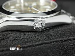 TUDOR 帝舵 Black Bay 36 碧灣 79640-0003&nbsp;<font color="#e5e0ca">香檳色面盤</font> 雪花針 不鏽鋼 <font color="#FF0000">最新款五節錶帶搭配快速調節「T-fit」折疊扣 2026年保單</font> 自動上鍊 36mm