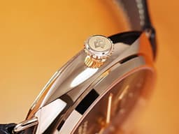 PANERAI 沛納海  Radiomir 8 Days GMT <font color="#FF0000"> 特別版 </font> PAM00395 PAM395 18K玫瑰金材質 八日鍊 <font color="#e2bf97">巧克力色面盤</font> 手動<span style="font-size: 10pt;">上鍊 45mm</span>