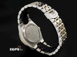 TUDOR 帝舵 ROYAL 皇家系列 28503-0003 不鏽鋼材質 <font color="#fff7c2">香檳金色面盤 羅馬數字時標</font>&nbsp;<font color="#FF0000">2026年保卡</font> 自動上鍊 38mm