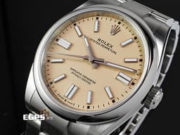 ROLEX 勞力士 Oyster Perpetual 41 蠔式恆動型 134300 <font color="#ffe8b8">2025年最新款最新色 沙米色面盤</font> 經典 OP41 不鏽鋼材質<font color="#FF0000">&nbsp;2025年保卡</font> 自動上鍊 41mm