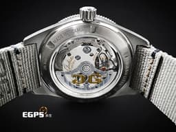 Glashütte Original 格拉蘇蒂 Spezialist 1-39-11-13-63-07 不鏽鋼材質 <font color="#058703"> 電鍍蘆葦綠色面板 細緻太陽紋 藍寶石水晶玻璃錶背&nbsp; </font><font color="#ff0000">2026年</font><font color="#058703">&nbsp;</font>自動上鍊 39.5mm