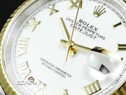 ROLEX 勞力士 Datejust 36 蠔式日誌型 126233 18K黃金與不鏽鋼材質&nbsp;半金款 DJ36 <font color="#f2ecbf">白色面盤搭配黃金立體羅馬數字時標</font> <font color="#ff0000">2025年卡</font>&nbsp;自動上鍊 36mm