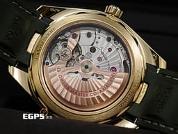 OMEGA 歐米茄 Seamaster 海馬 Aqua Terra 150 系列 22052412110001 <font color="#487d08">綠色橫甲板紋面盤</font> 大三針 <font color="#f7df45">Moonshine金材質</font> 同軸擒縱 <font color="#FF0000">2025年保卡</font> 自動上鍊 41mm